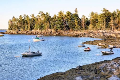 Hidden Gem Cottage Near Blue Hill Peninsula