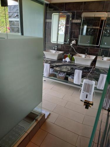 Superior Villa image 10