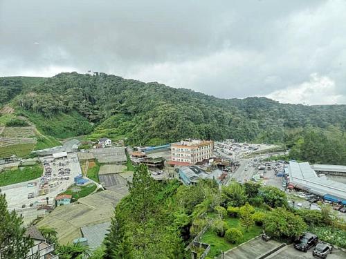 View, Luxury 3 bedroom Homestay at Kea Farm in Kea Farm
