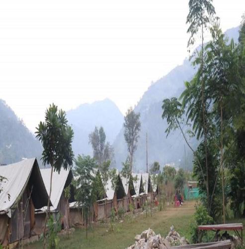 Camping at Snow Adventure Camps, Ukhimath (foto 4)