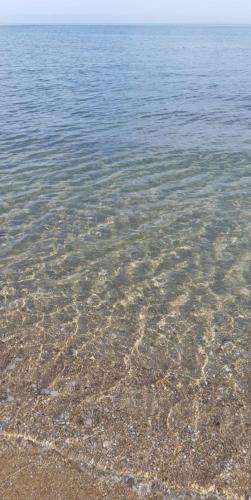 SUN AND SEA No 3 photo