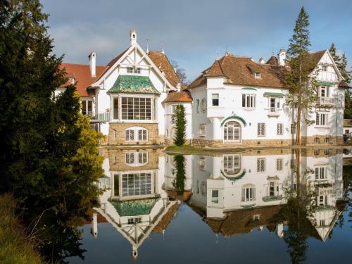 Вход, Schloss Schonau in Schönau An Der Triesting