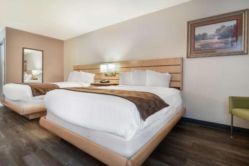 SureStay Plus by Best Western Tarboro-Kingsboro - image 11