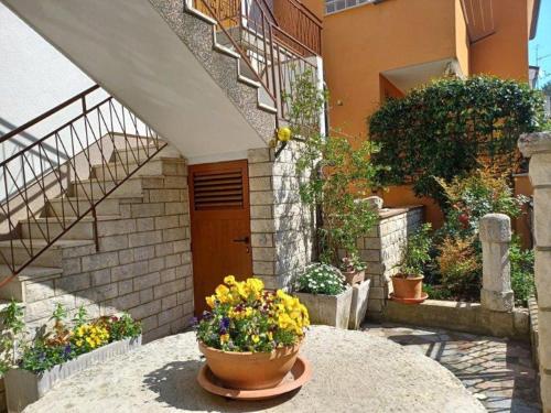 Apartments by the sea Novigrad - 7335 - main image