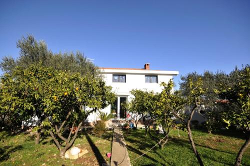 Apartments by the sea Arbanija Ciovo - 11592 - image 11