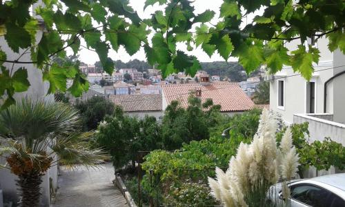 Apartments by the sea Mali Losinj (Losinj) - 14166 - main image