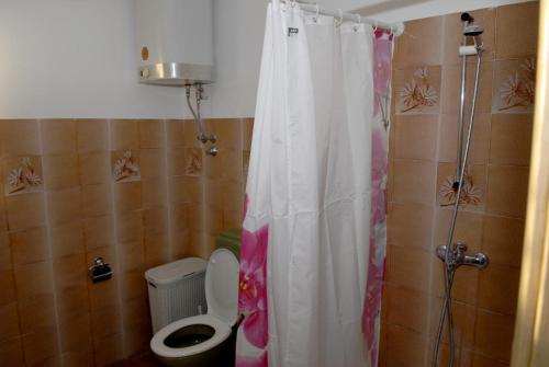 Family friendly house with a swimming pool Kostanje Omis - 14176 - image 13