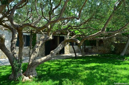 Family friendly house with a swimming pool Bol Brac - 14291 - main image