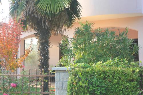Apartments by the sea Novigrad - 14296 - image 6