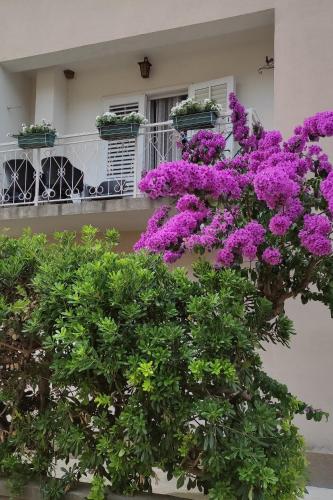 Apartments by the sea Trpanj, Peljesac - 14309 - Trpanj