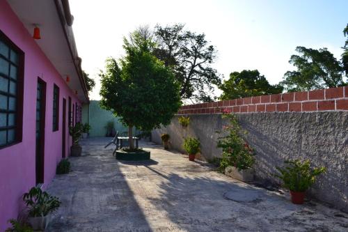 Casa Cuevas & Amaro - image 2