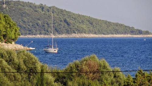 Apartments by the sea Prizba, Korcula - 14385