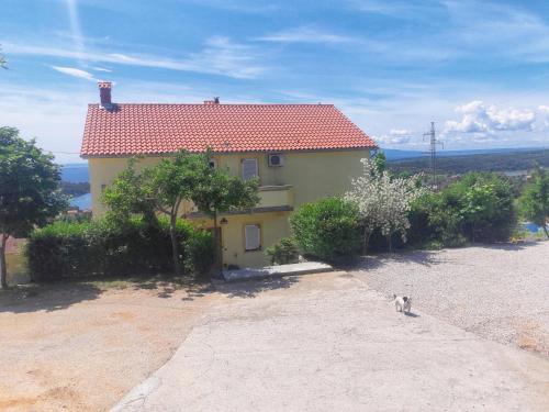 Family friendly apartments with a swimming pool Palit Rab - 16330 - main image