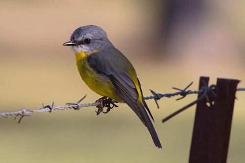 Redrock Retreat Kingaroy Australia