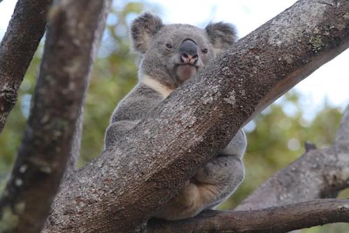 Redrock Retreat Kingaroy Australia
