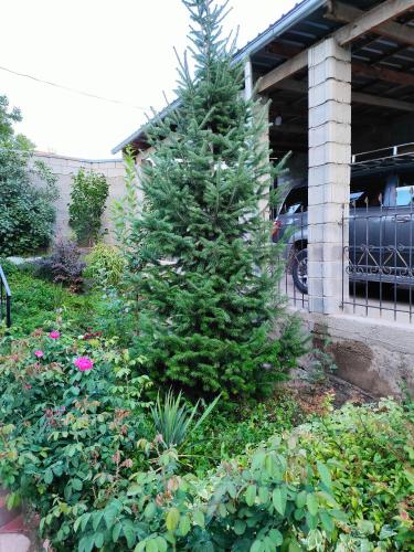 Jardín, Загородный коттедж (Загородныи коттедж) in Besh Kungei