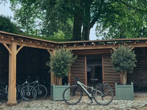 Callow Hall at Wild Hive - image 12