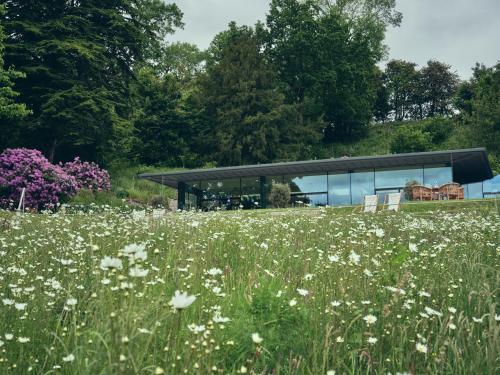 Callow Hall at Wild Hive - image 10