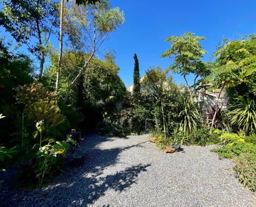 Maison dans sa Jungle, aux milliers d’espèces… gîte à louer Montmagny