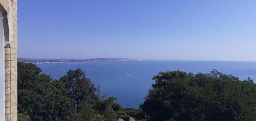 Sea View, Shanklin (fotografie 11)