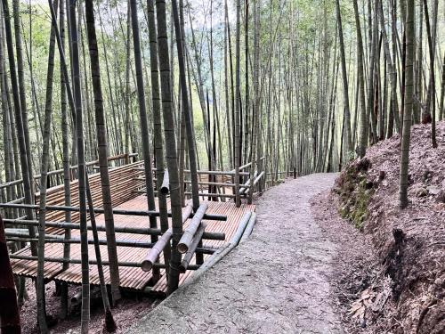 牛奶森林 柏竺山莊Bozhu villa