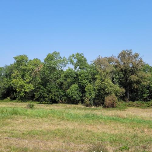 Albizia rouge - Gîte de charme à la campagne