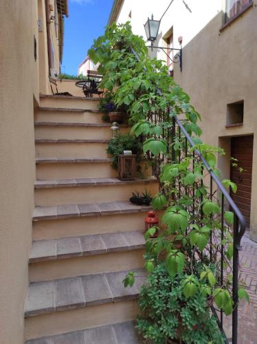  Camere La Carbonaia in Pienza