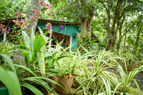 Palitha Homestay, Sigiriya