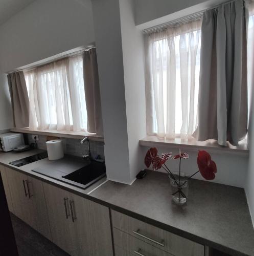 PETMEZA APARTMENT 2 Aigio City F in Eja(Peloponesa)