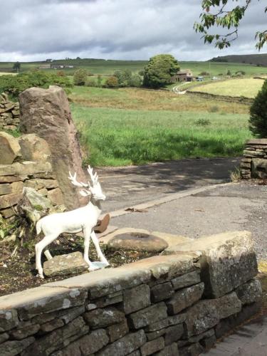 Cosy Rural Cottage Peak District, Pets Welcome