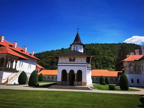 Pensiunea Maya - image 7