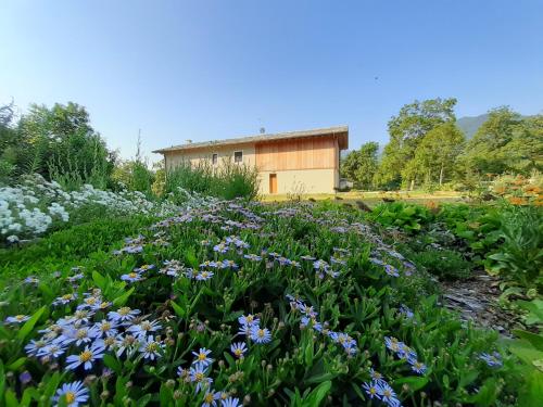 SEMI AL VENTO: la bio-casa nel giardino incantato!