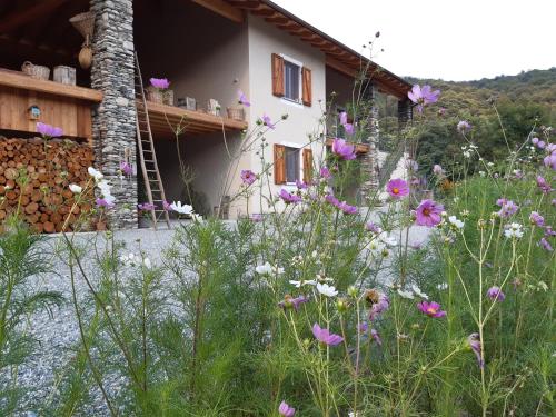 SEMI AL VENTO: la bio-casa nel giardino incantato!