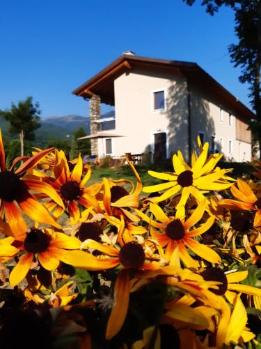 SEMI AL VENTO: la bio-casa nel giardino incantato!