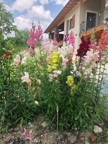 SEMI AL VENTO: la bio-casa nel giardino incantato!