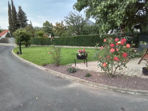 Au détour des Orchidées (Au detour des Orchidees) in Montbazon