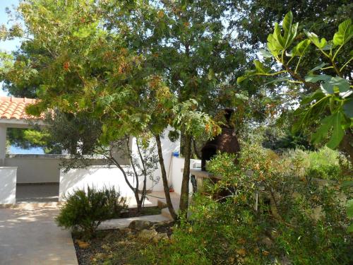 Apartments by the sea Sevid Trogir - 16855 - main image