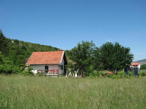 Family friendly house with a swimming pool Kricke, Zagora - 16869