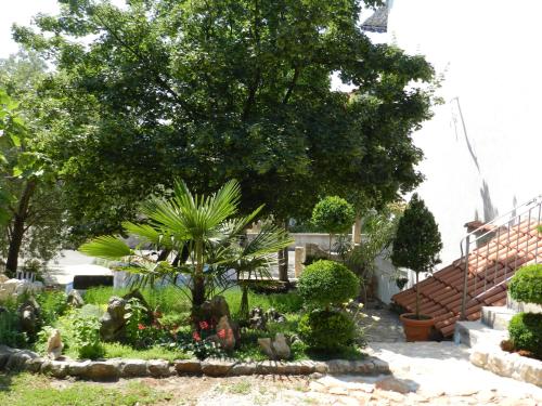 Apartments with a parking space Sveti Vid Krk - 16955 - image 6