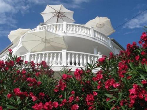  Apartments with a parking space Barbat, Rab - 16816 in Rab