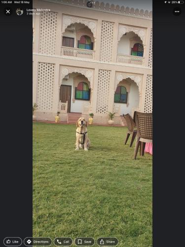 . Chouhan Palace