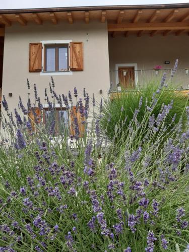 SEMI AL VENTO: la bio-casa nel giardino incantato!