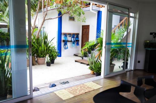 Palm Residence Palm Residence