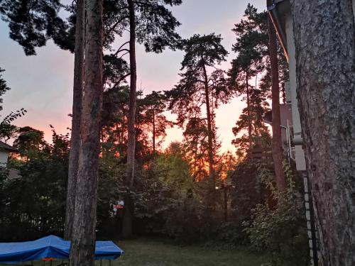  ZakKant-Lak in Siófok