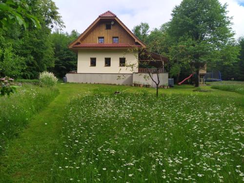 Na paloučku - Apartment - Kunčice pod Ondřejníkem