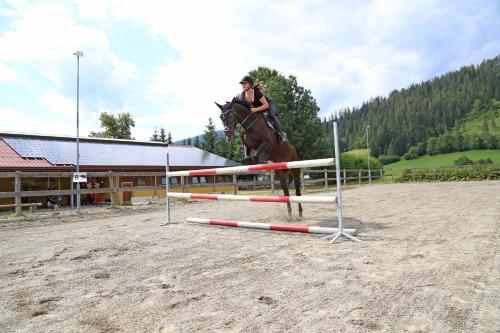 Ferienhof Kasparbauer - image 3