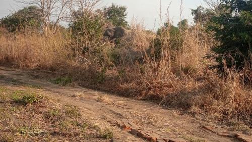 A környék, Blue Waxbill Lodge in Kakumbi