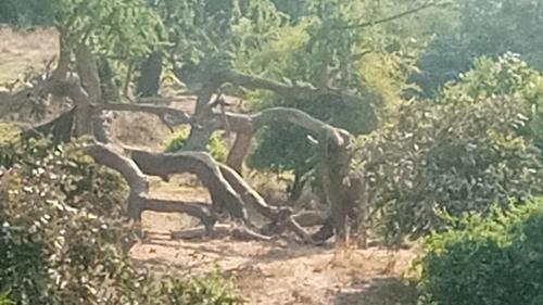 A környék, Blue Waxbill Lodge in Kakumbi