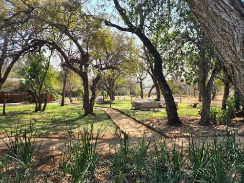 Karongwe Portfolio- Shiduli Private Game Lodge