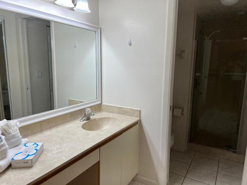 Bathroom, Superb Apartment in Florida & very close to IMG near Cracker Barrel